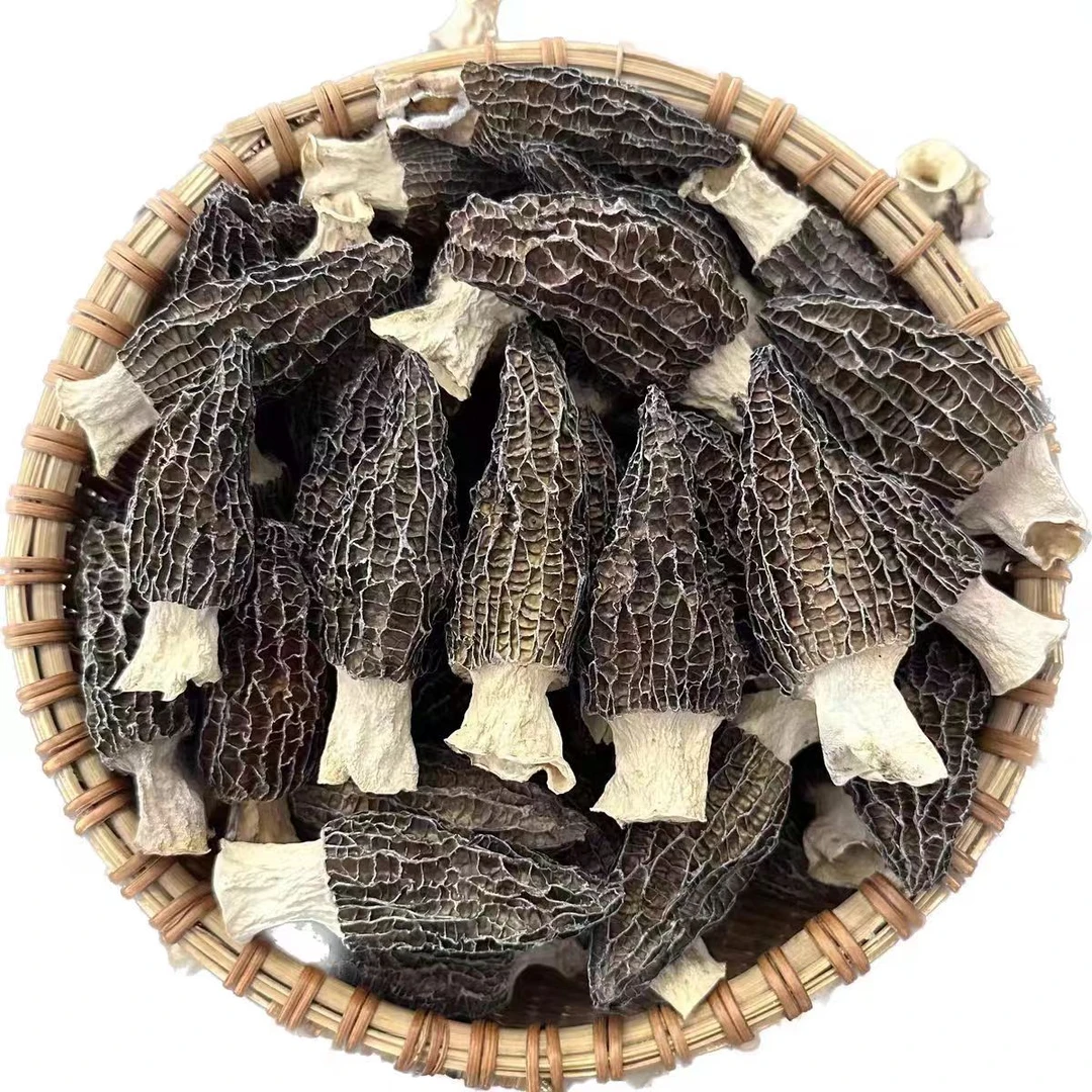 【大鹏专属】云南地道土特产 羊肚菌 精选干货 菌菇煲汤