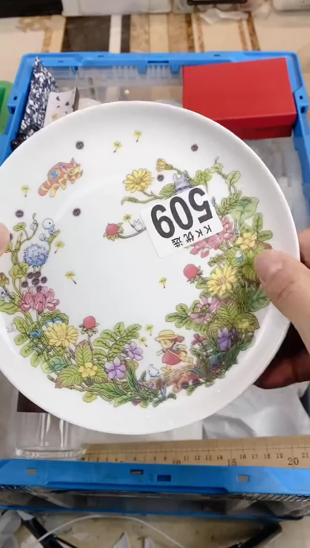 【闪购商品】瓷片509定向 Timtimimtim