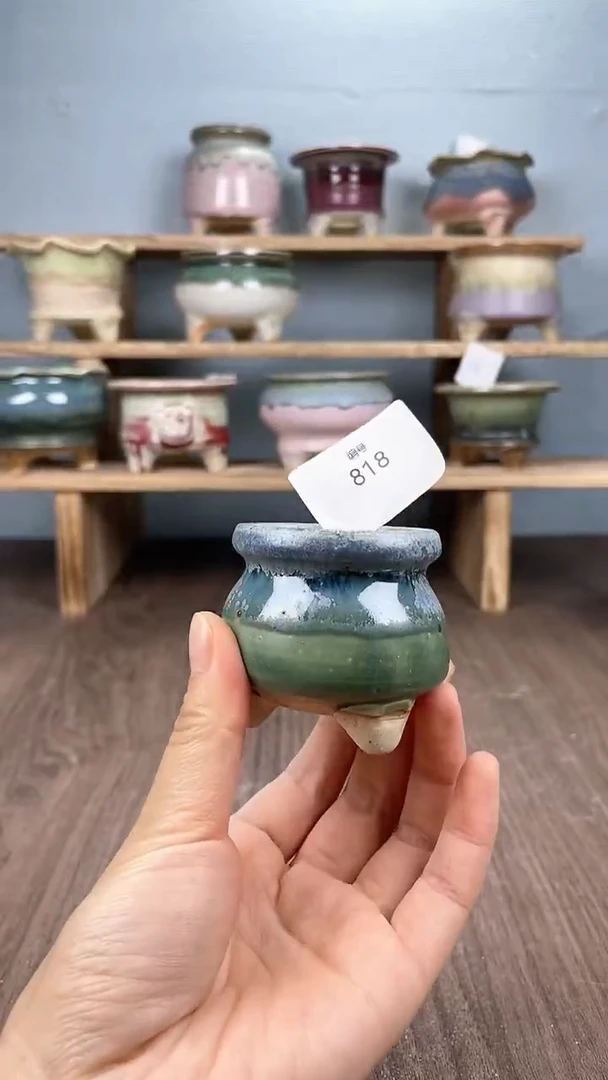 【闪购商品】陶瓷20CM以下818