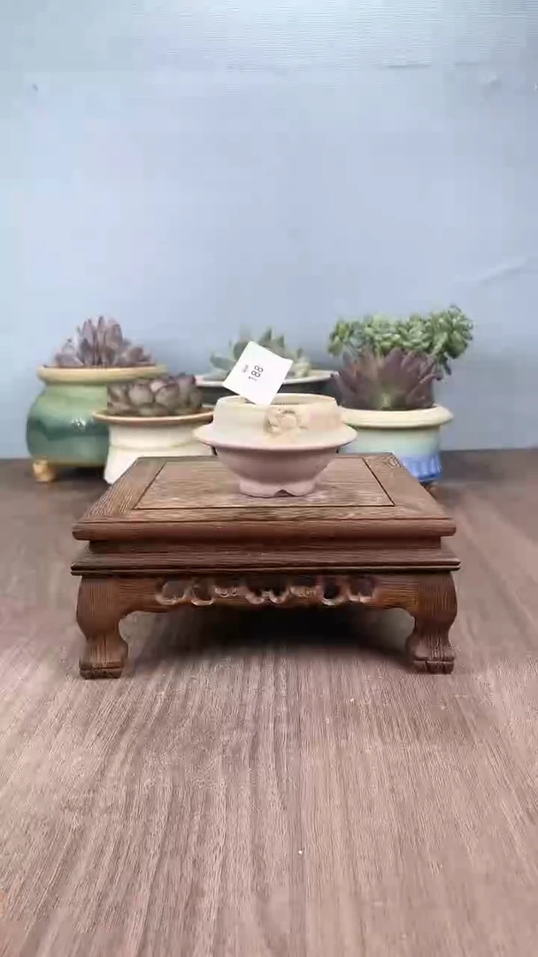 【闪购商品】红陶20CM以下188