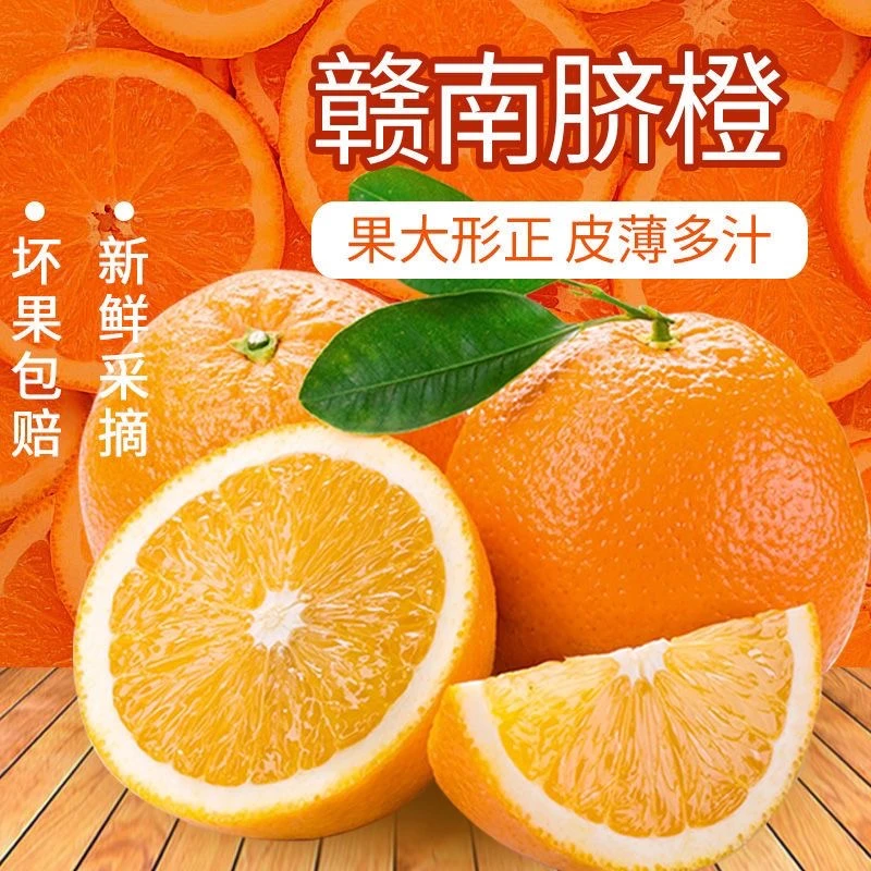 【开园福利10斤】正宗赣南脐橙应季水果新鲜橙子产地直发精品果送礼