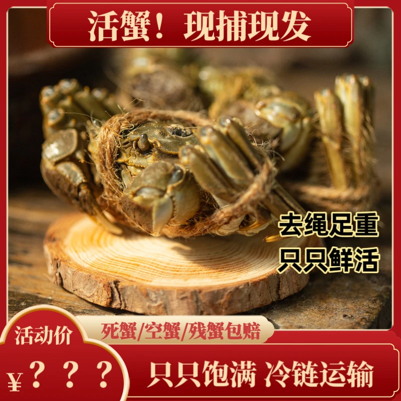 【活蟹现发】全母蟹 3.2-2.9两10只装苏州精养大闸蟹肥黄流油礼盒装