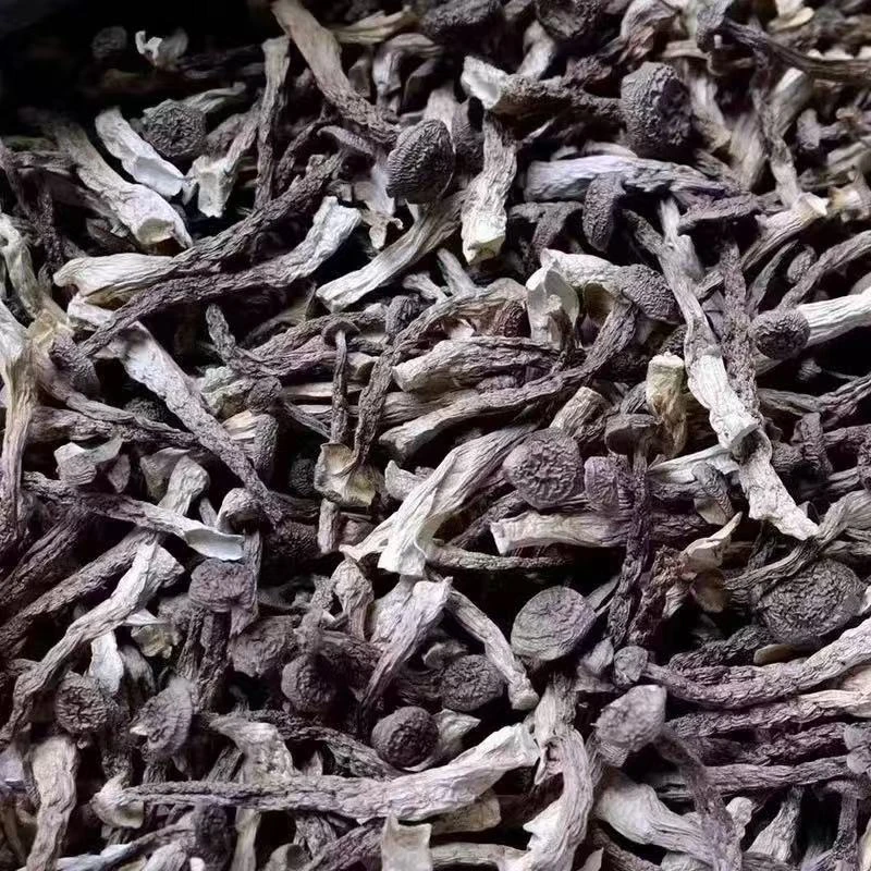 【鹿 荣 菇 】 散装实惠 云南精选特产干货