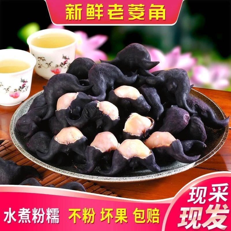 【当季新货】新鲜老菱角粉糯莲角黑菱角果特产蔬菜生棱角现采