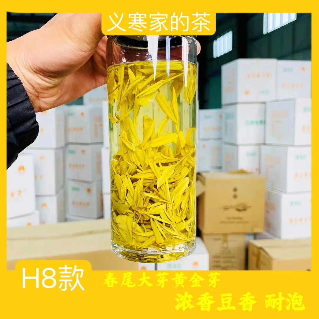 2023年 黄金芽 H8款 春尾耐泡款 豆香板栗香 茶厂品质原产地