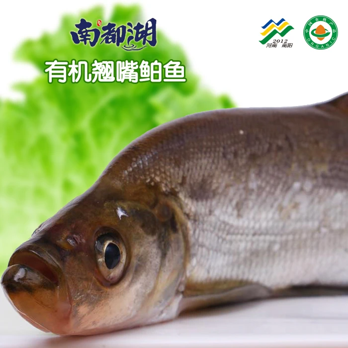 南都湖有机翘白鱼500g*3袋 丰富营养美味 加工处理制作全国运输