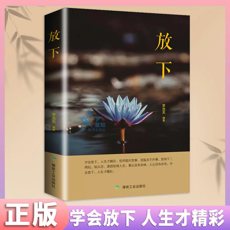 放下书籍人生哲学通俗读物不抱怨的爱上生命中的青春励志书籍书