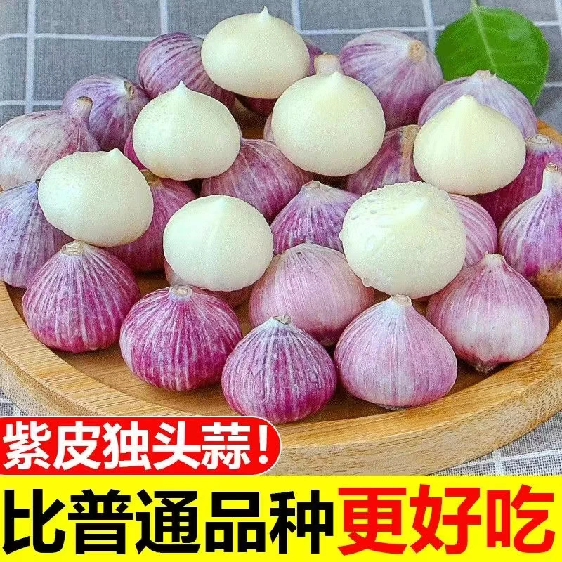 【3斤 中果  31.8】干蒜新鲜紫皮独头蒜大蒜头香辣调味爽口湿蒜