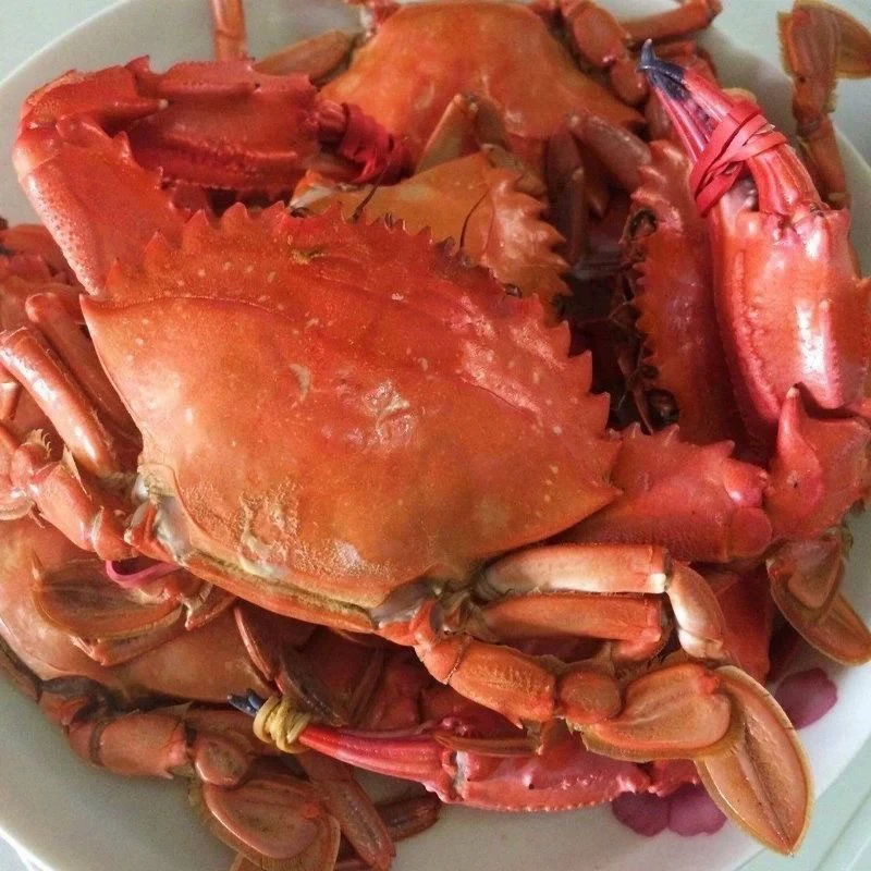 大连海鱼赤甲红花盖蟹三斤包邮，活鲜新疆西藏青海宁夏会坏不发货