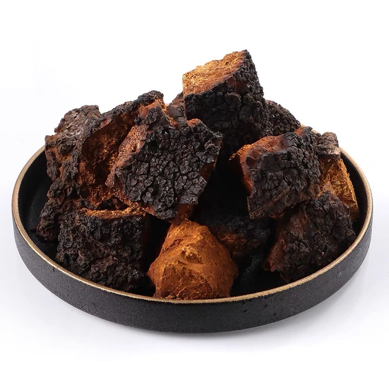 中俄边境桦树茸包邮白桦茸煮水喝特别好营养浓郁