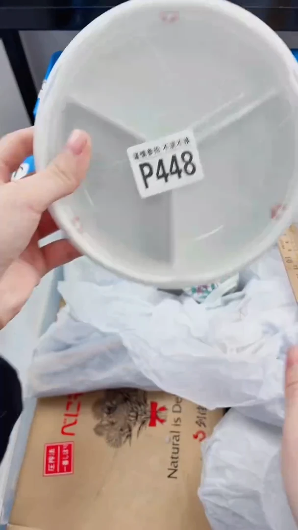 【闪购商品】密胺瓷片P448
