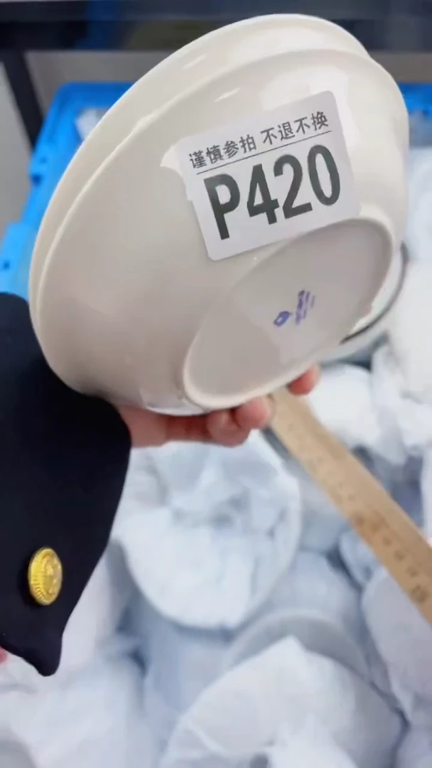 【闪购商品】密胺瓷片P420*2