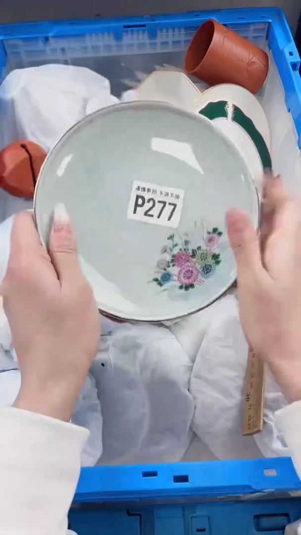【闪购商品】密胺瓷片P277