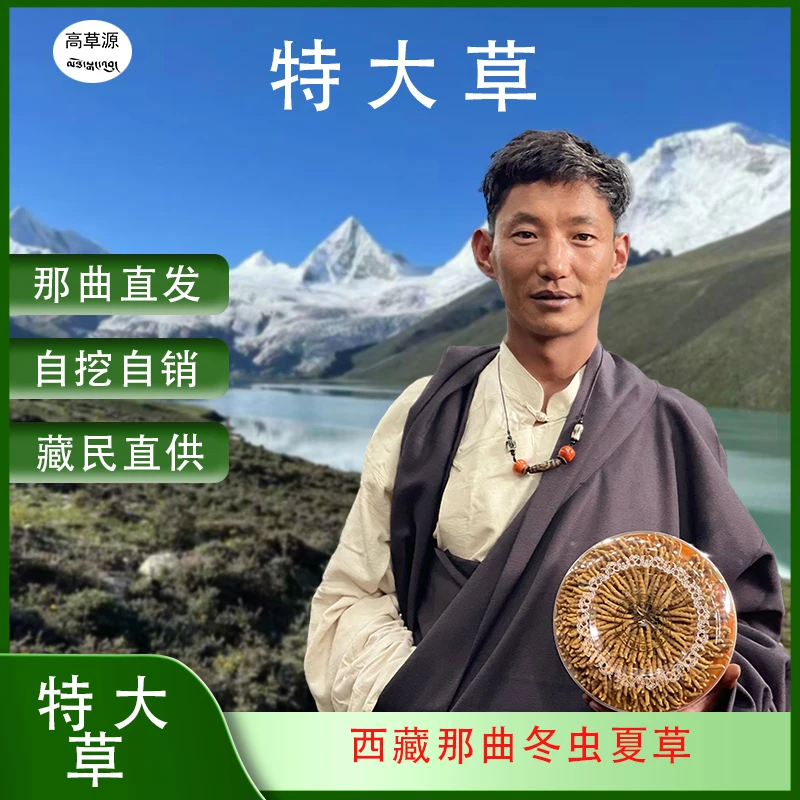 高草源2025特大草正宗西藏那曲比如虫草