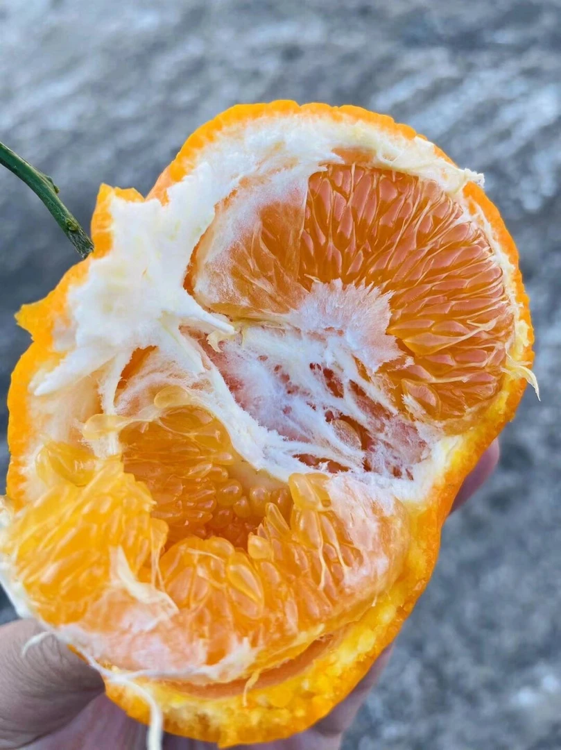 大雅柑甜蜜耙耙柑丑橘7斤新鲜产品包邮优质清甜基地多汁味道