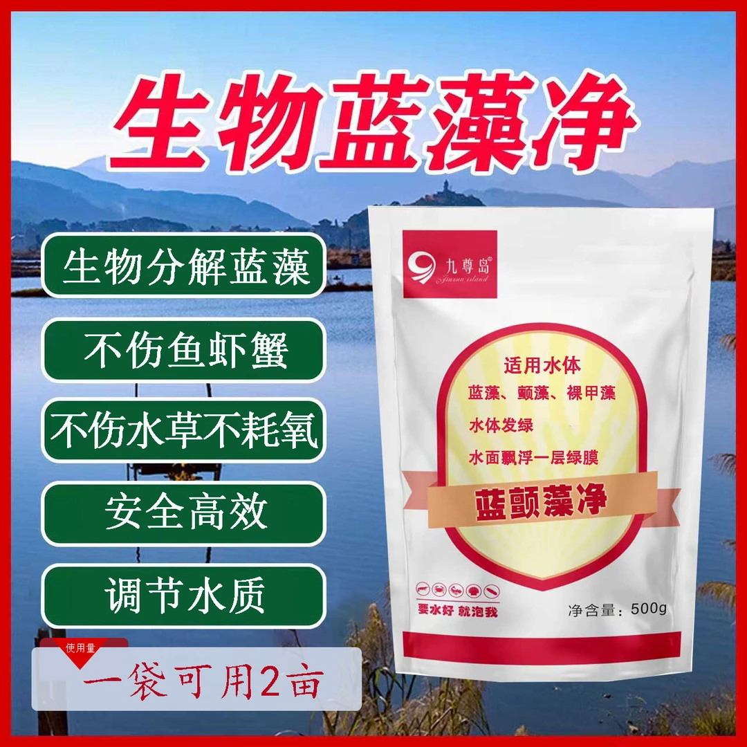 九尊岛生物蓝颤藻净拍5发6 拍10发13绿藻蓝藻颤藻裸藻除藻除藻剂