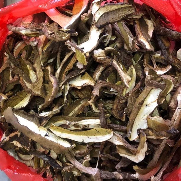 云南下山牛肝菌美味