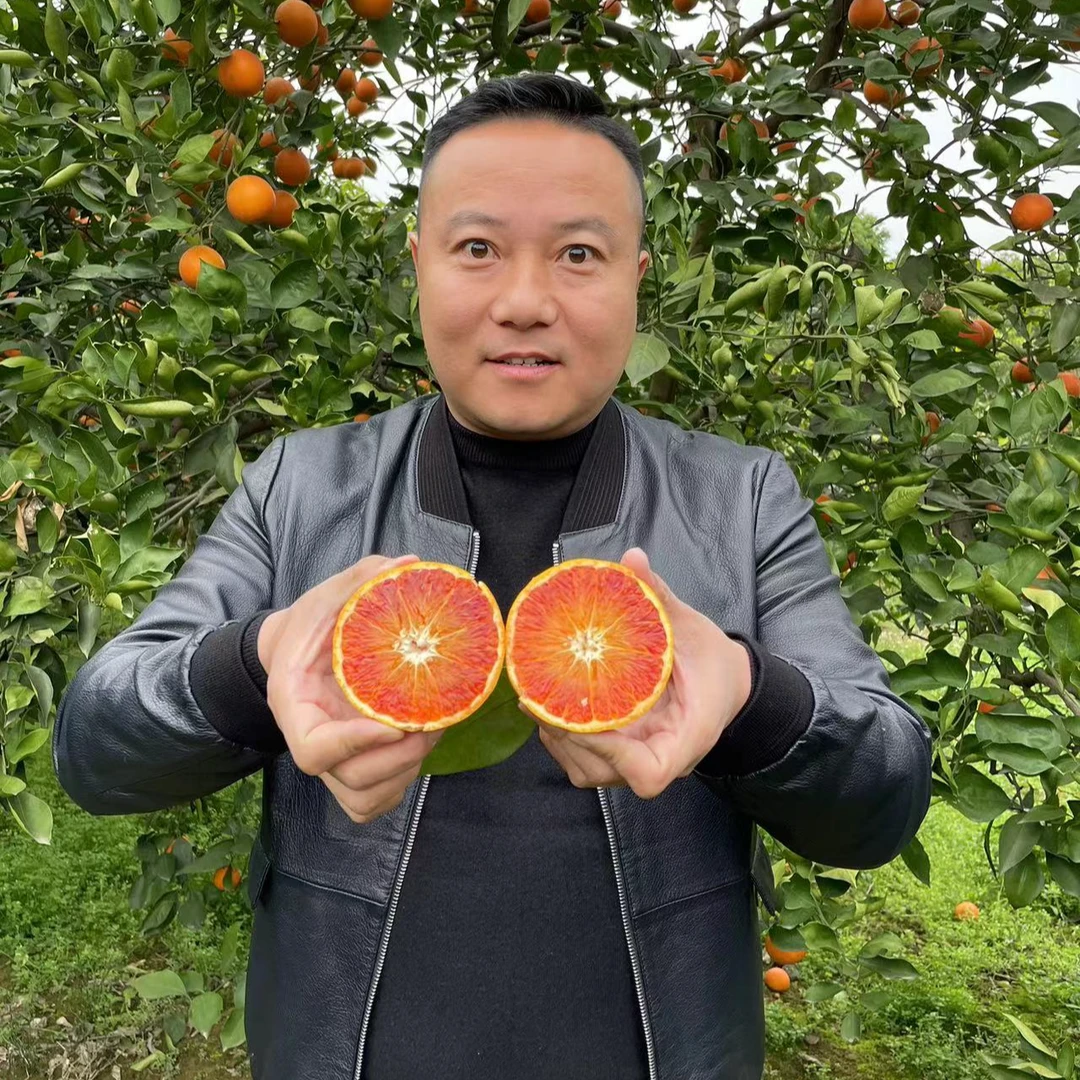 重庆长寿湖血脐（泸州发货）