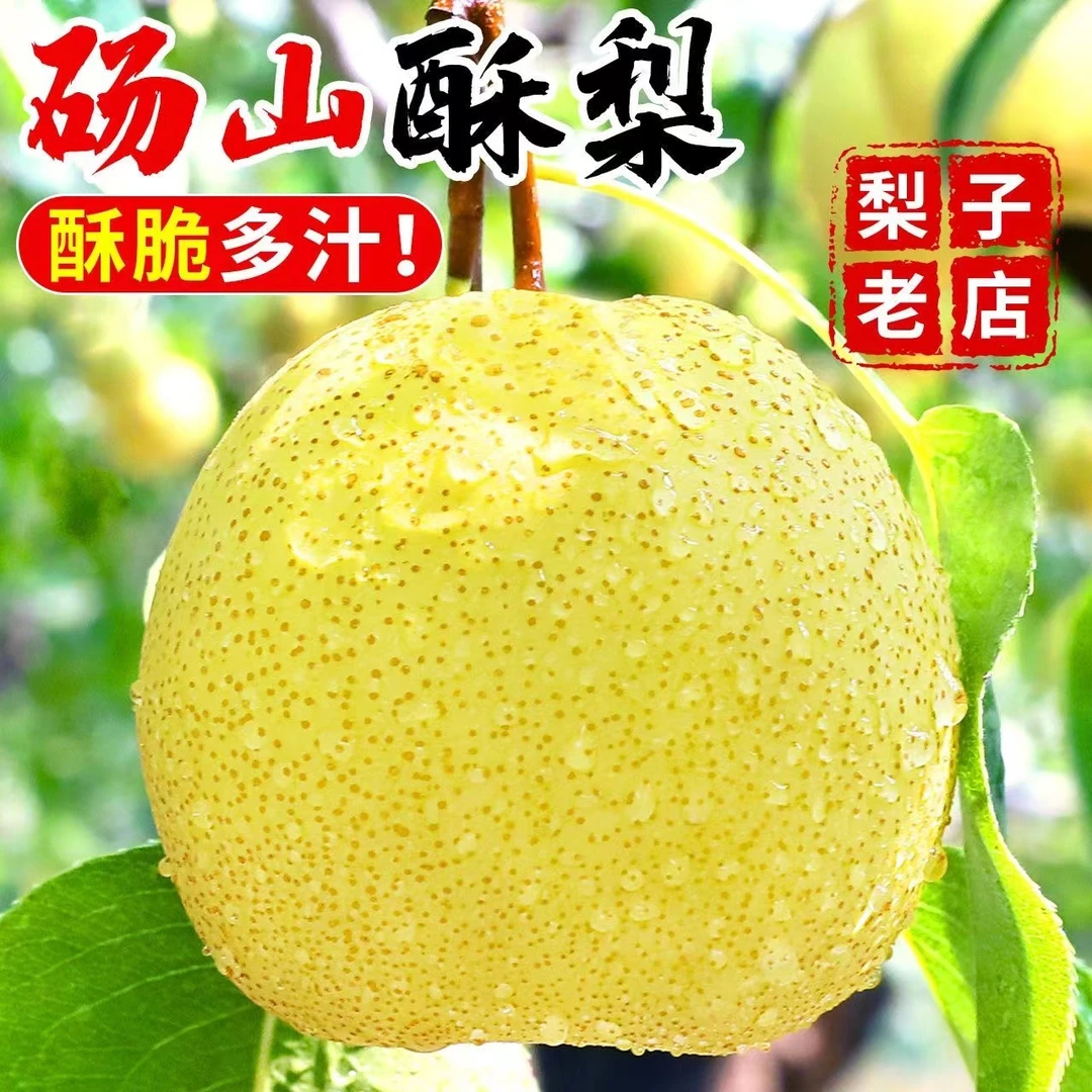 香梨10斤薄皮梨子皮薄超甜3/5斤红香酥梨脆甜梨子批发 10斤整箱