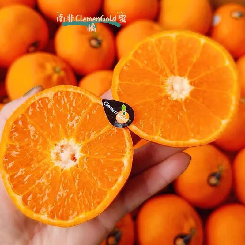克莱蒙橘子4粒450-470g云南省
