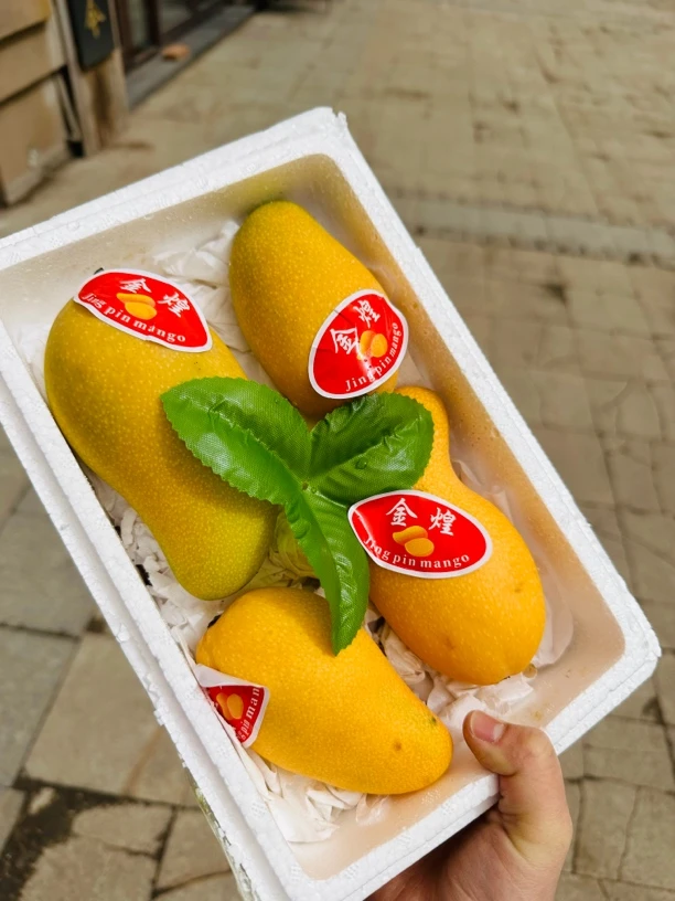 2斤泡沫箱金煌芒