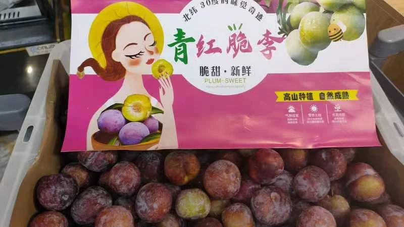 青红脆李一盒350克