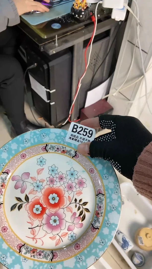【闪购商品】密胺瓷片259
