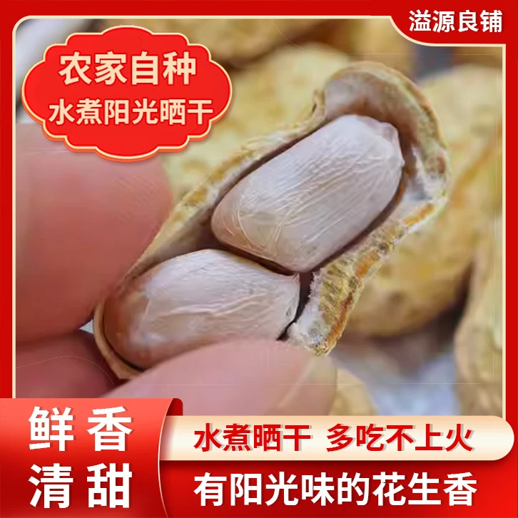 溢泓源新果客家特产水煮咸干花生软口鲜甜八九成干度营养美味即食