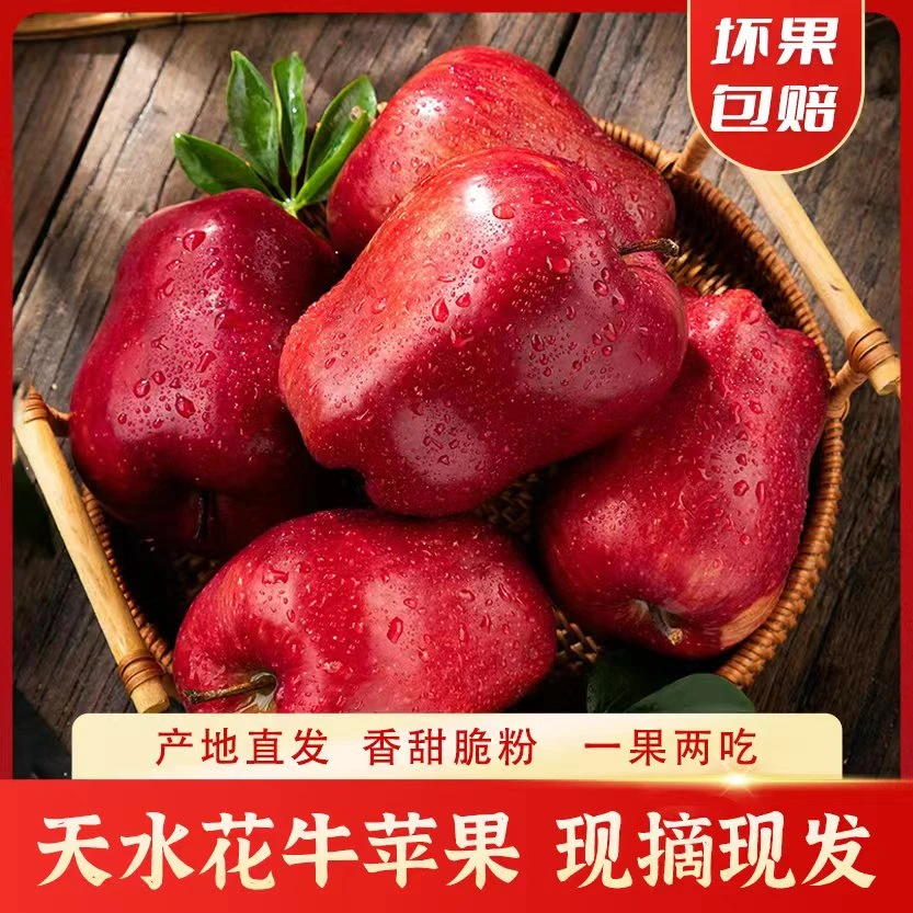 当天现摘20年老树果正宗天水花牛苹果超甜带箱5斤kr