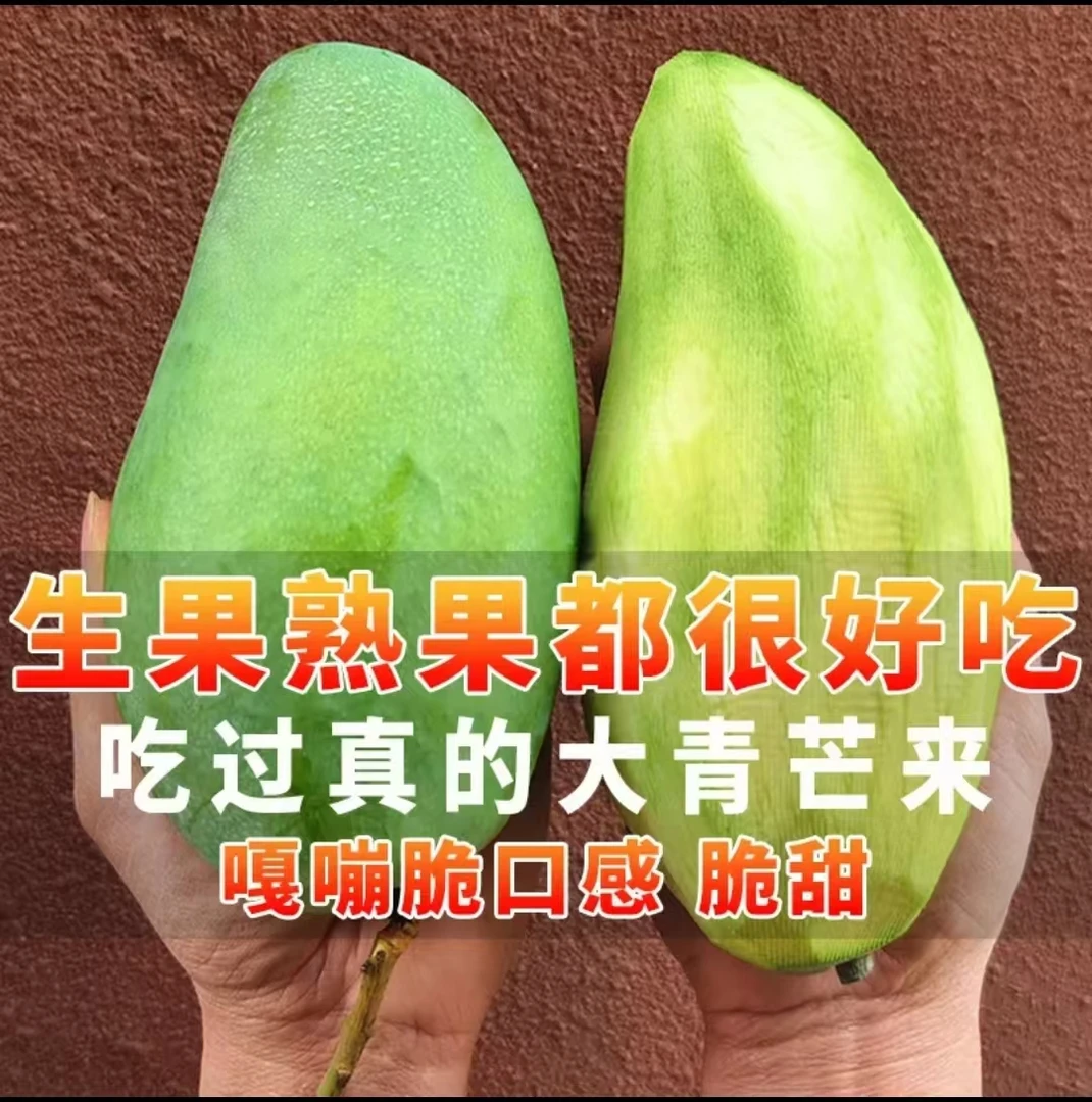 越南大青芒新鲜果3/5/8斤产地直营广西南宁仓酸嘢芒果花生熟两吃