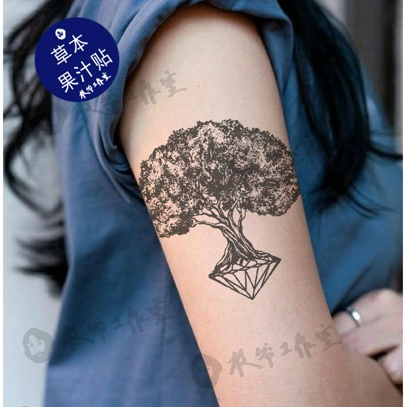 草本果汁克拉橄榄树纹身贴帅气崔胜澈seventeen防水持久发三张