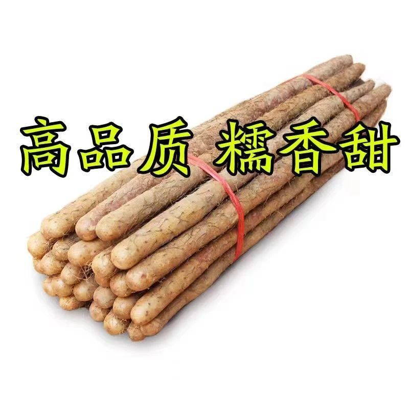 新鲜铁棍山药垆土耕种软糯香甜营养丰富60-80cm五斤装