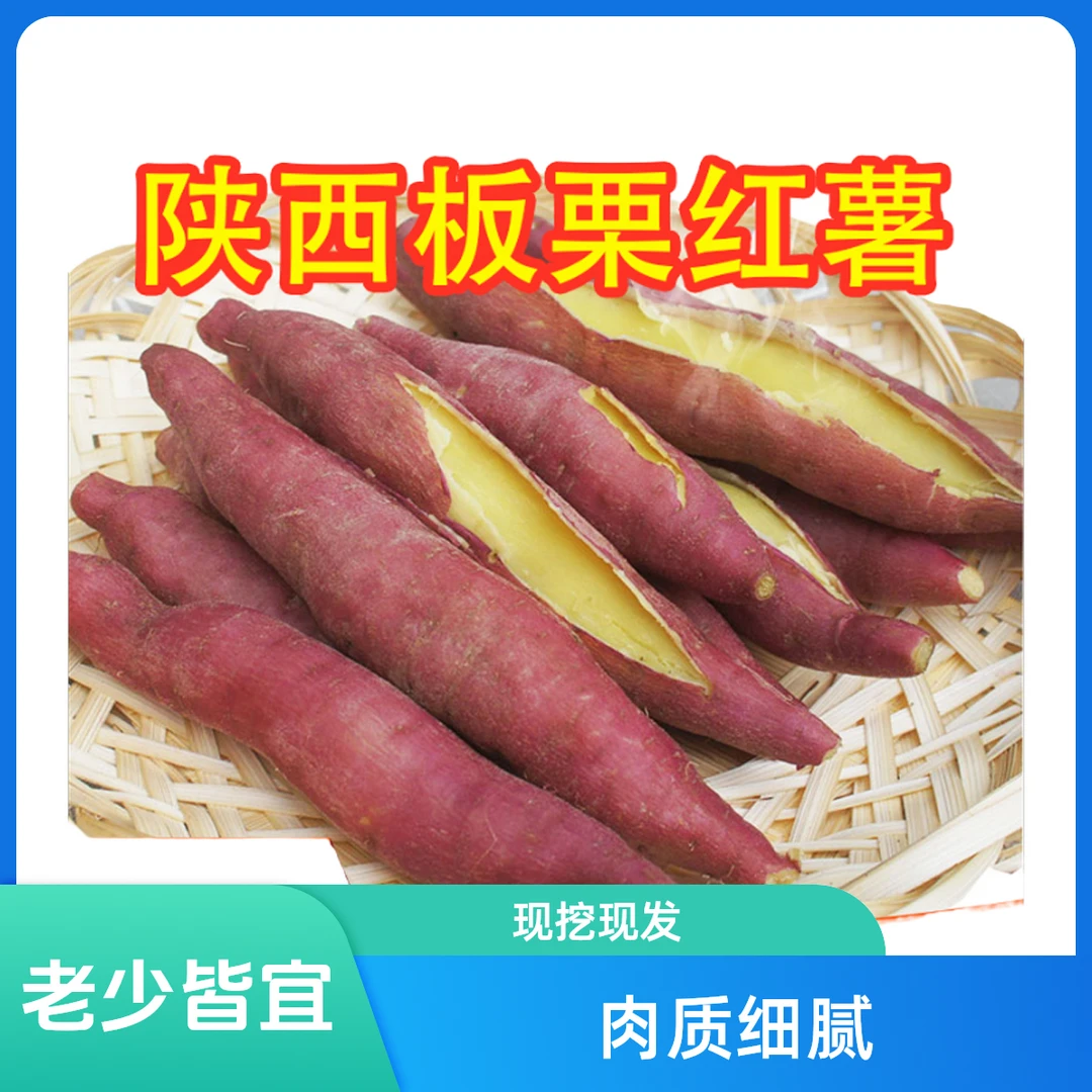 5斤陕西沙地板栗红薯干面香甜现挖现发沙地红薯番薯香薯新鲜地瓜