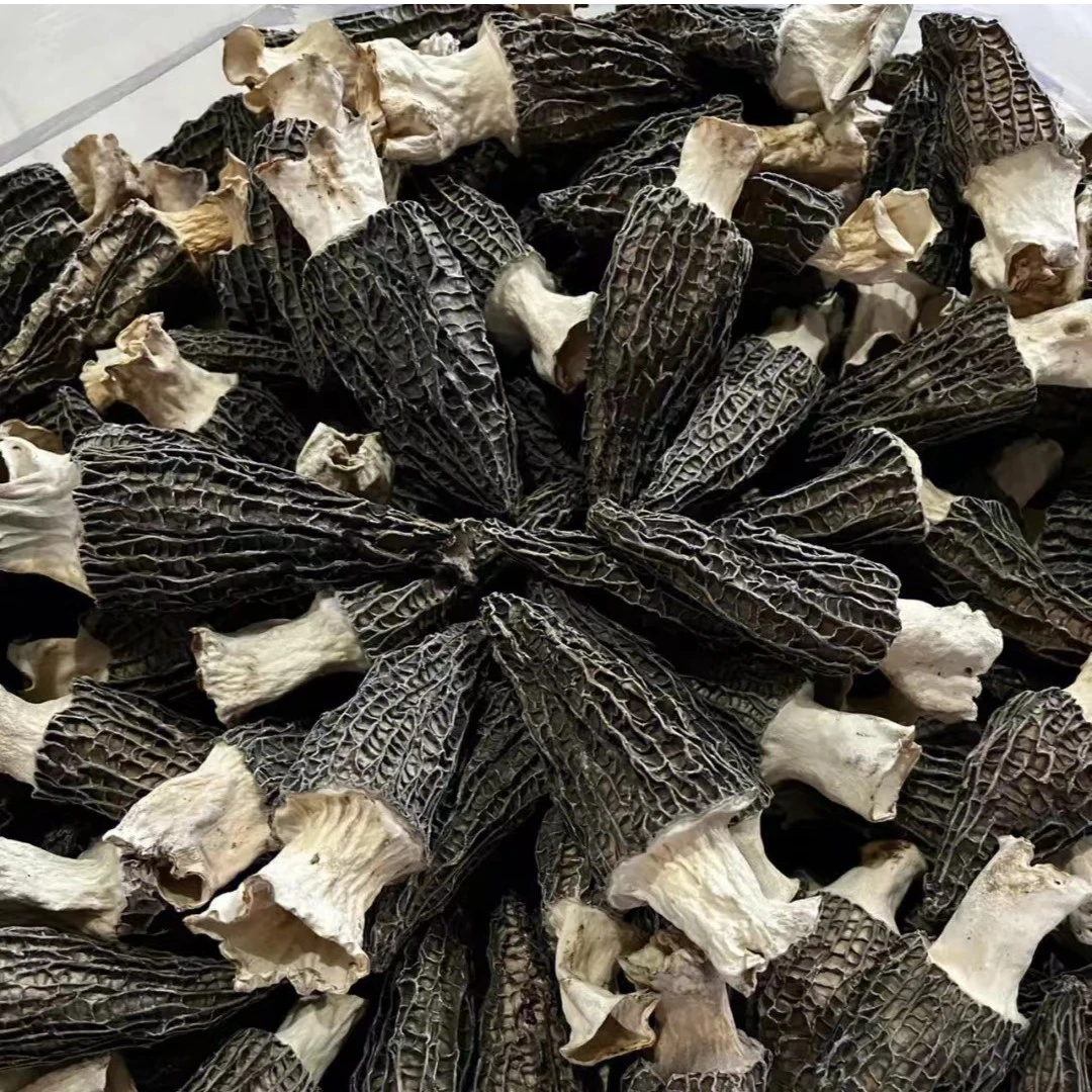 云南楚雄羊肚菌干品，5~7cm，净含量100g、200g