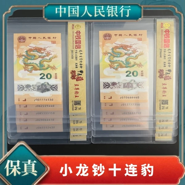 《赵总专属》甲辰龙年小龙钞十连豹