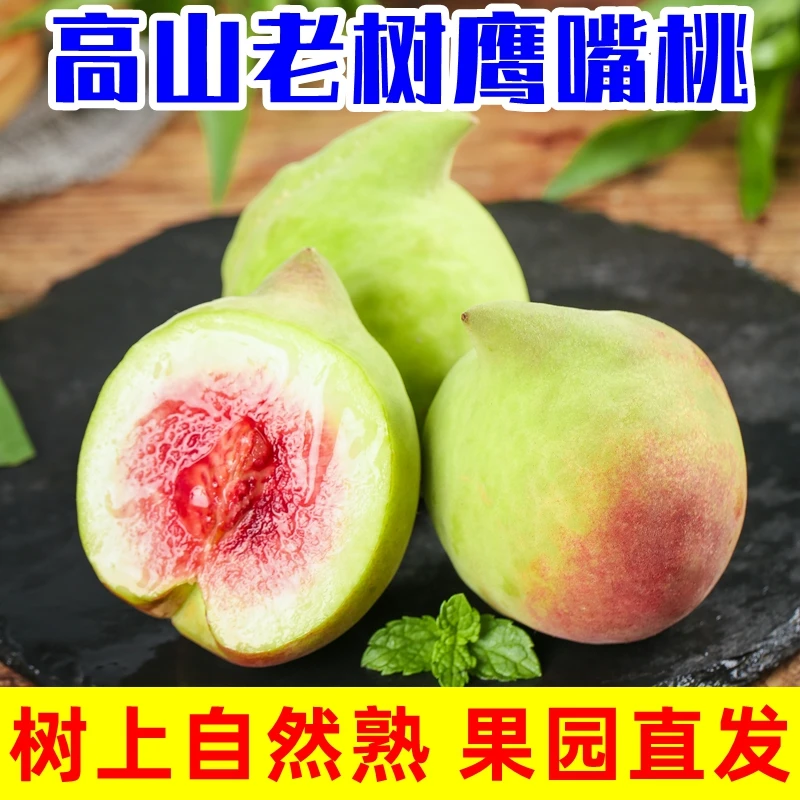 正宗高山鹰嘴桃净重8斤5斤香甜多汁云南水蜜毛油桃子新鲜当季水果