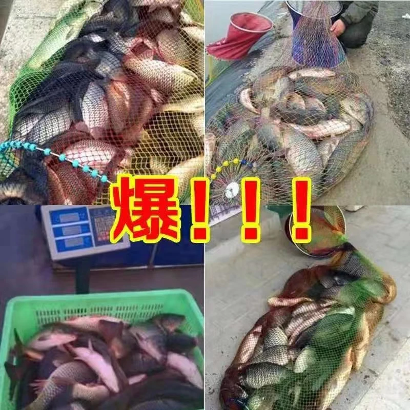 摄钓者-39个蛋白小黄面黑坑升级款（3斤）