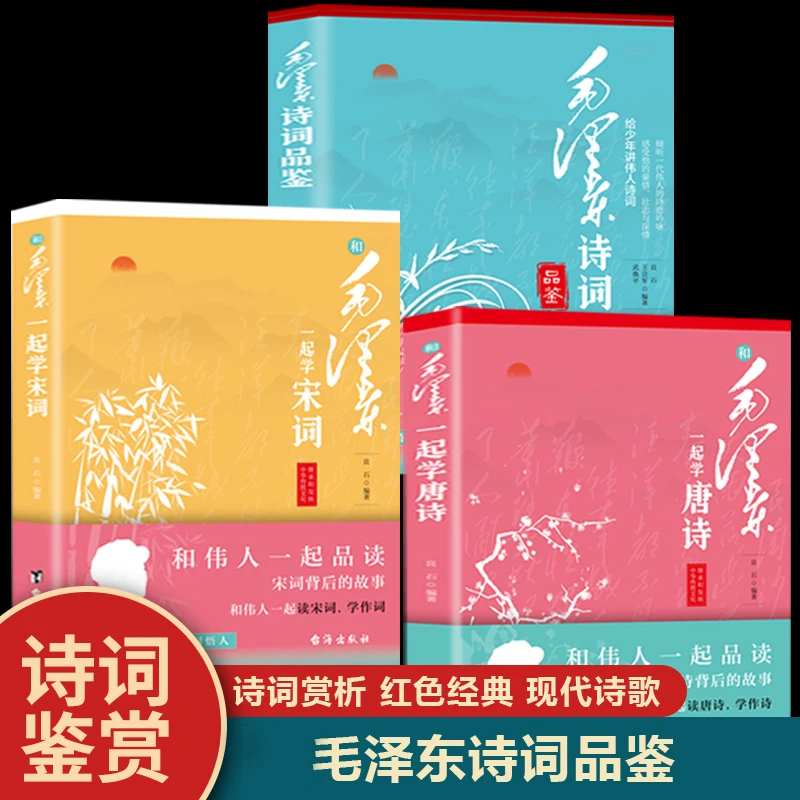毛泽东诗词品鉴 给少年讲伟人诗词和毛泽东一起学唐诗宋词的故事