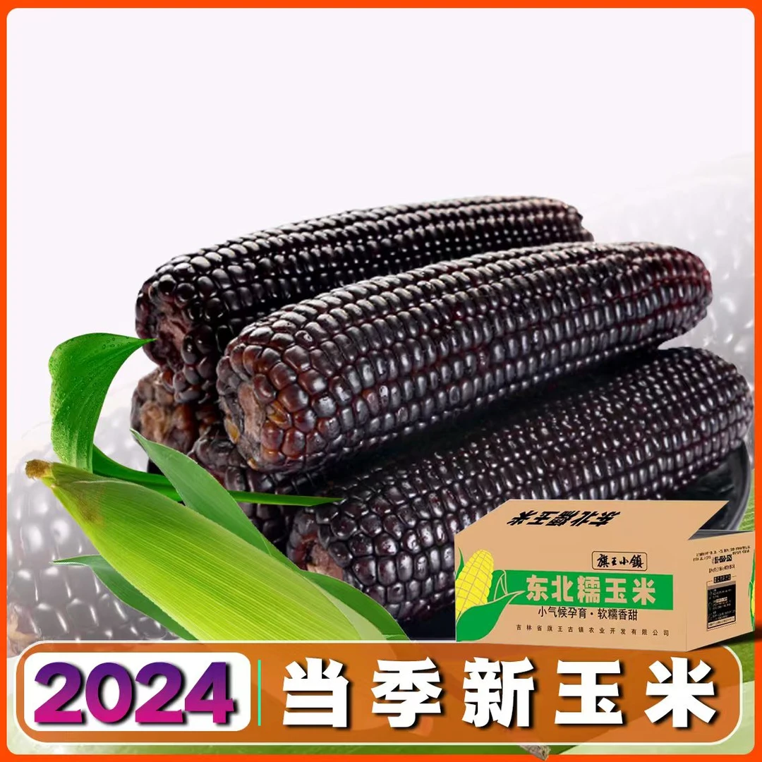 12支6斤】2024东北新采黑糯玉米软糯香甜产地直发