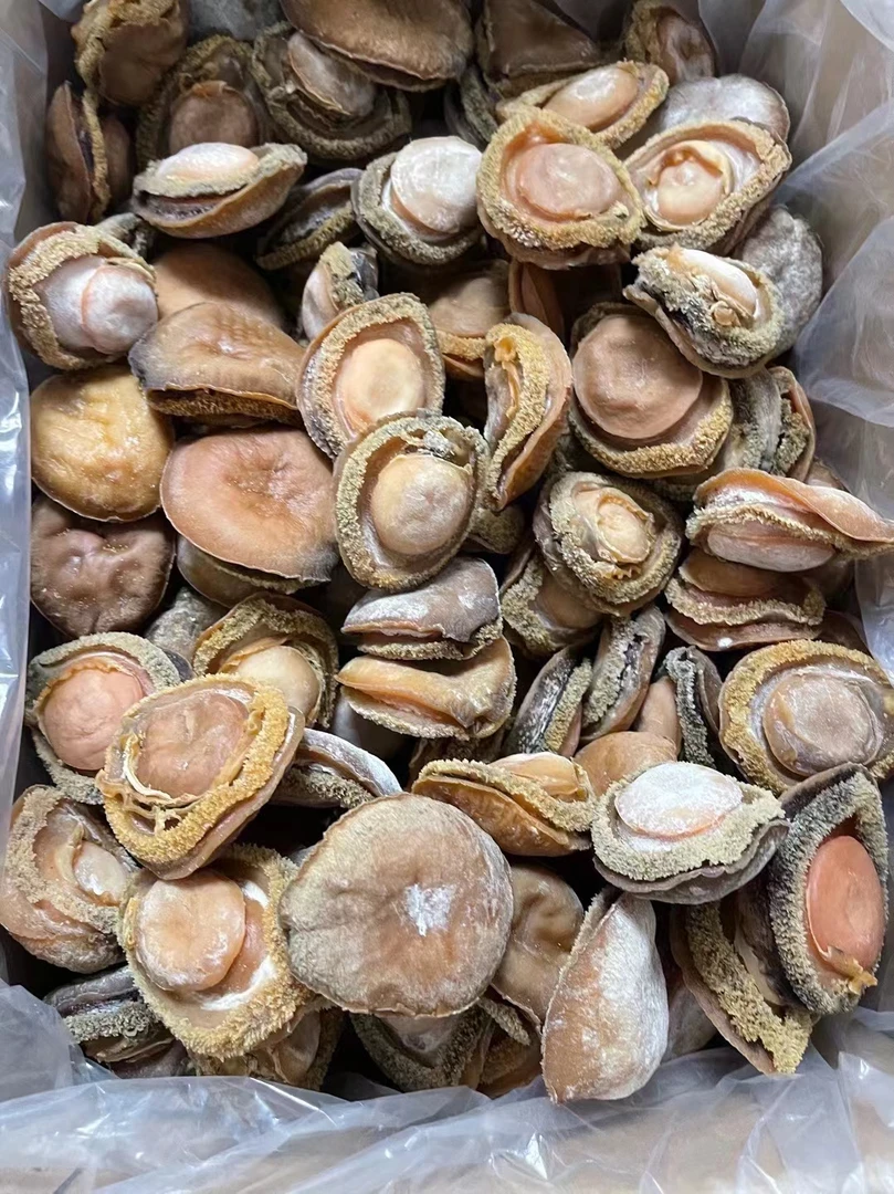 光头哥福利8-10头南非干鲍鱼