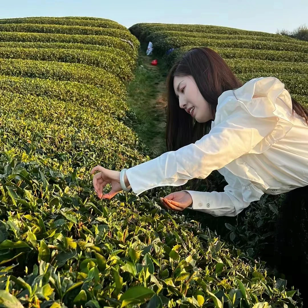 老尹家的茶【直播茶闪拍】