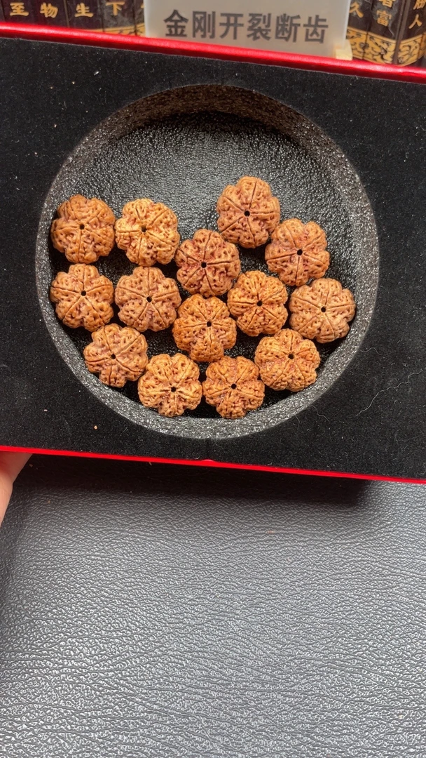 傲骨梅花，尼泊尔大金刚。5号