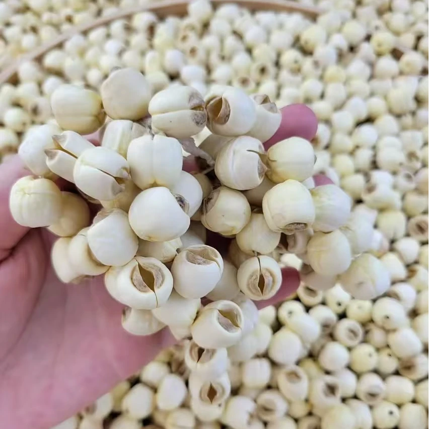 【半斤装】  农家干货 农家土货LZ 新货  去芯不苦 磨皮白色