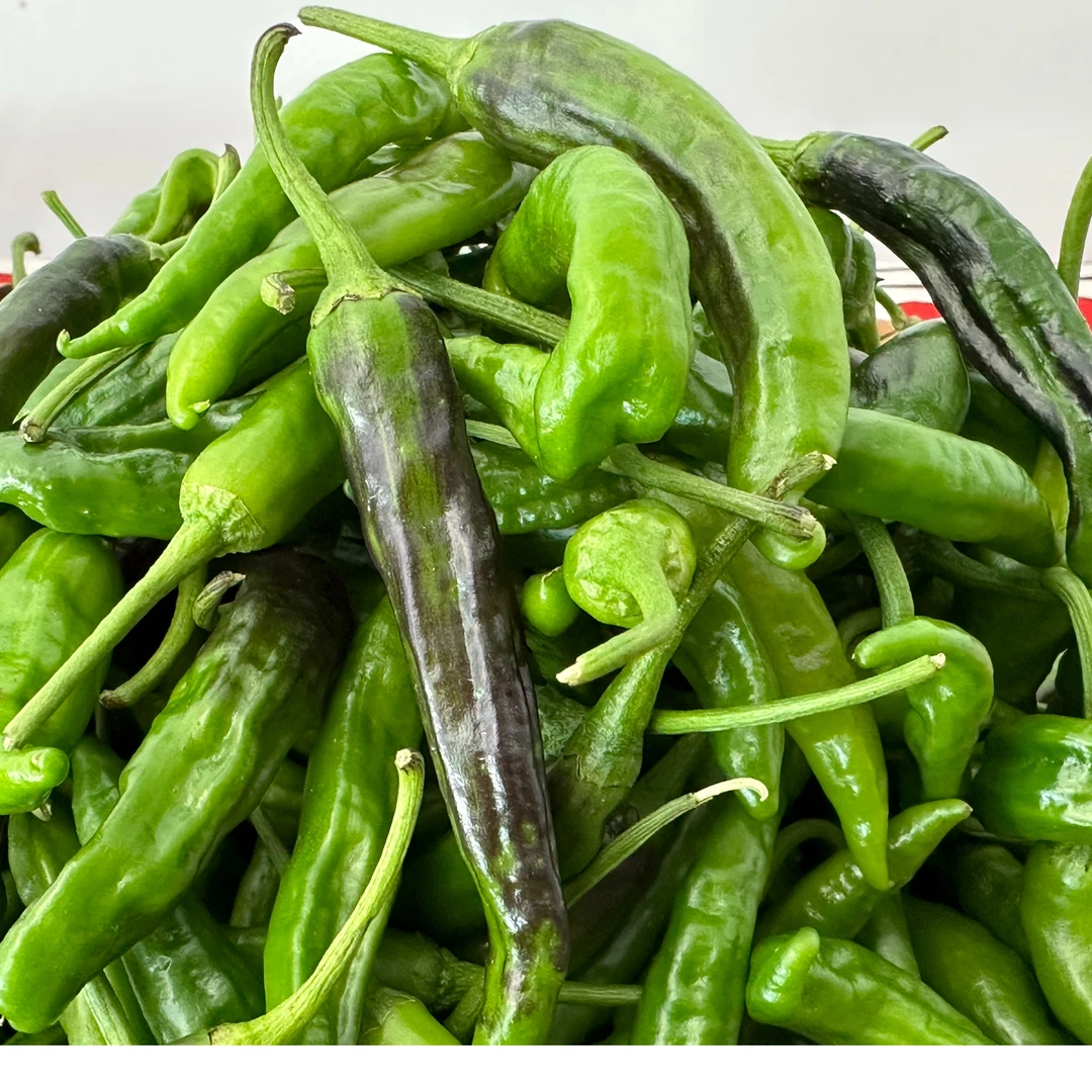 林芝反季易贡辣椒邮政特快包邮