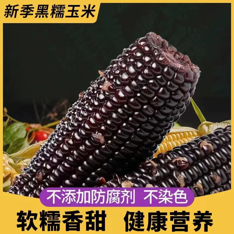 黑糯鲜食饱满玉米真空保鲜软糯香甜拍8送2发10支*220-260g精选B