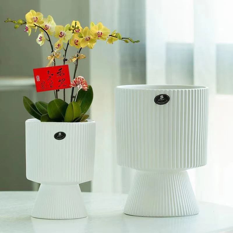 繁星奶油风轻奢蝴蝶兰陶瓷花盆兰花多肉花盆家用阳台庭院特价捡漏