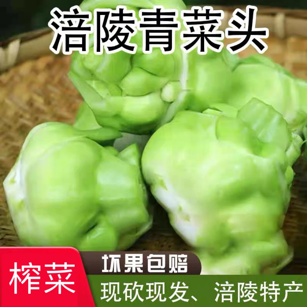 榨菜头四川正宗农家新鲜青菜头芥菜羊角菜涪陵榨菜菱角菜新鲜现挖