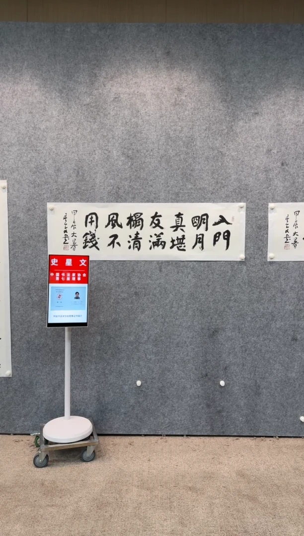 【闪购商品】书法pmb中书协理事史星文12