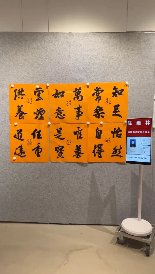 【闪购商品】书法sf中书协陈继林3