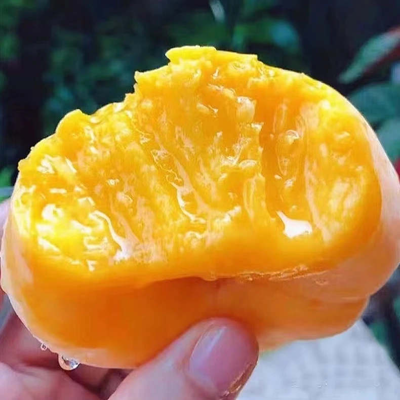 【顺丰包邮】（油蟠15）爆甜黄金油蟠桃脆软香甜爆汁稀有应季摘现发